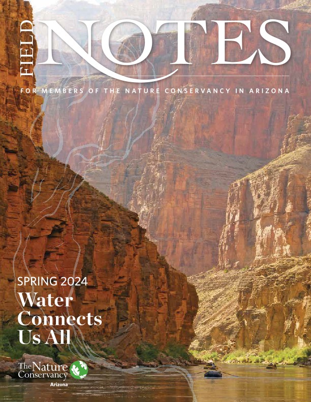 Cover of the Spring 2024 Field Notes Magazine.