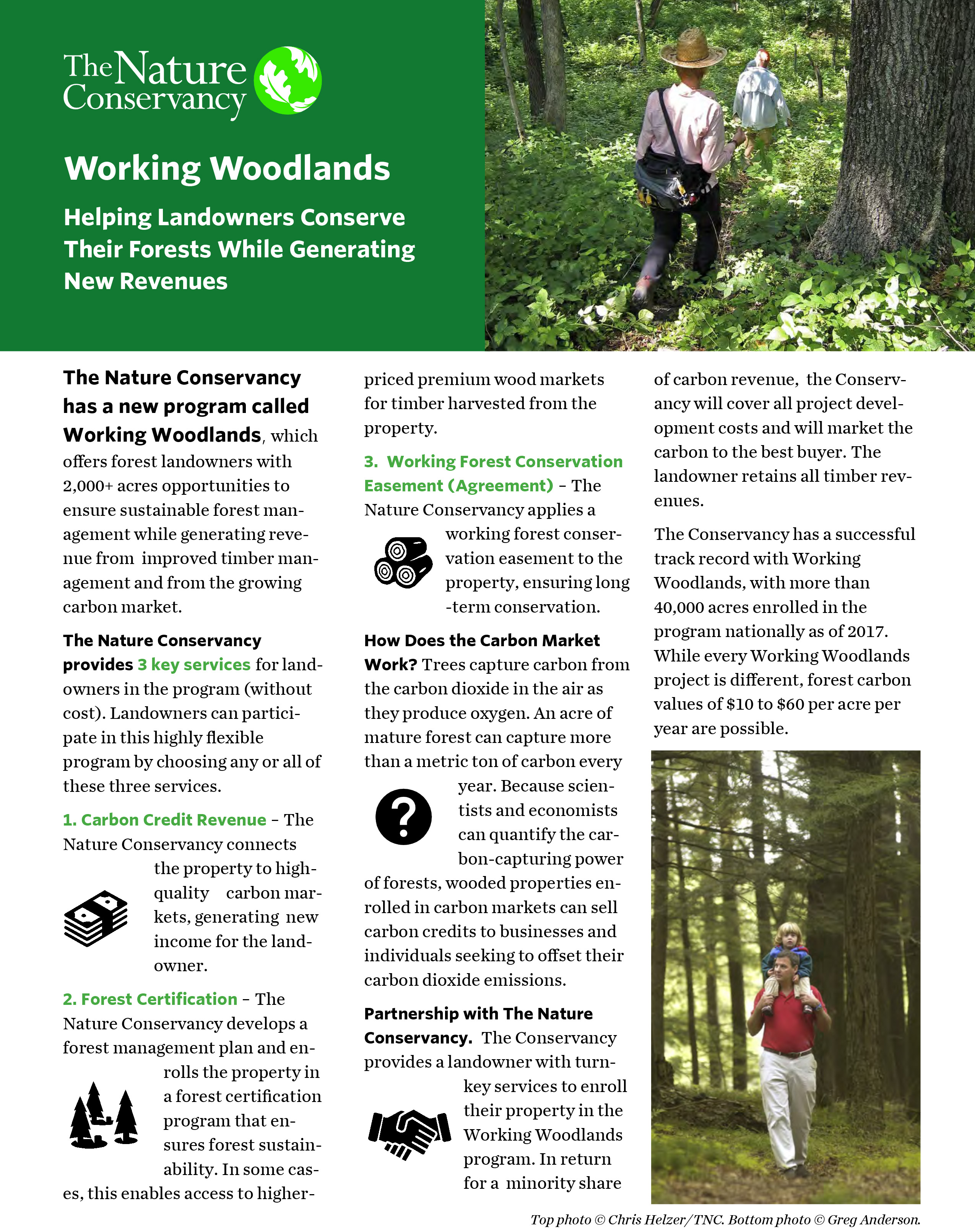 Cover of the Working Woodlands brochure.