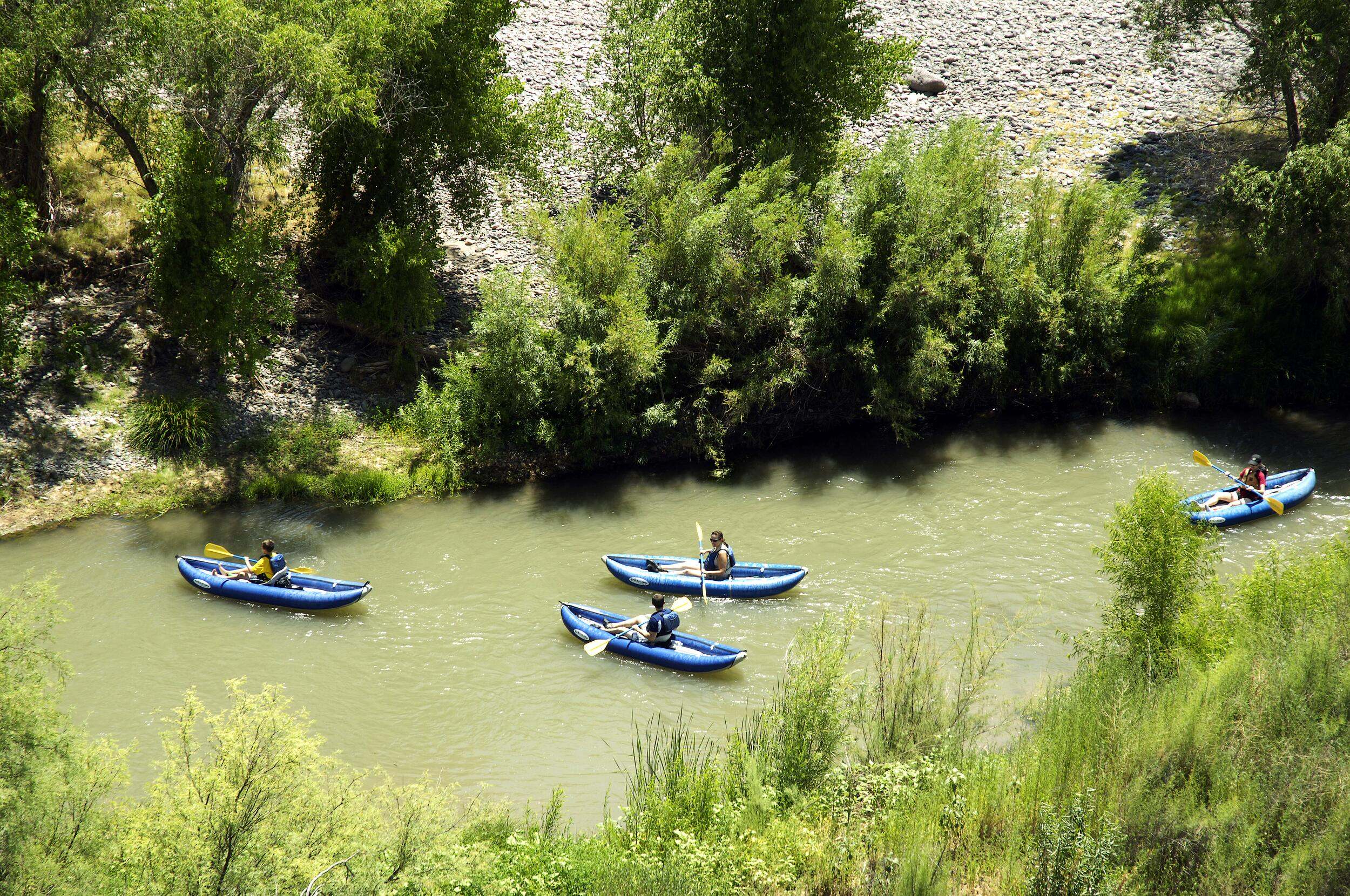View from above of three individuals in blue kayaks on a stream with green vegetation surrounding it.