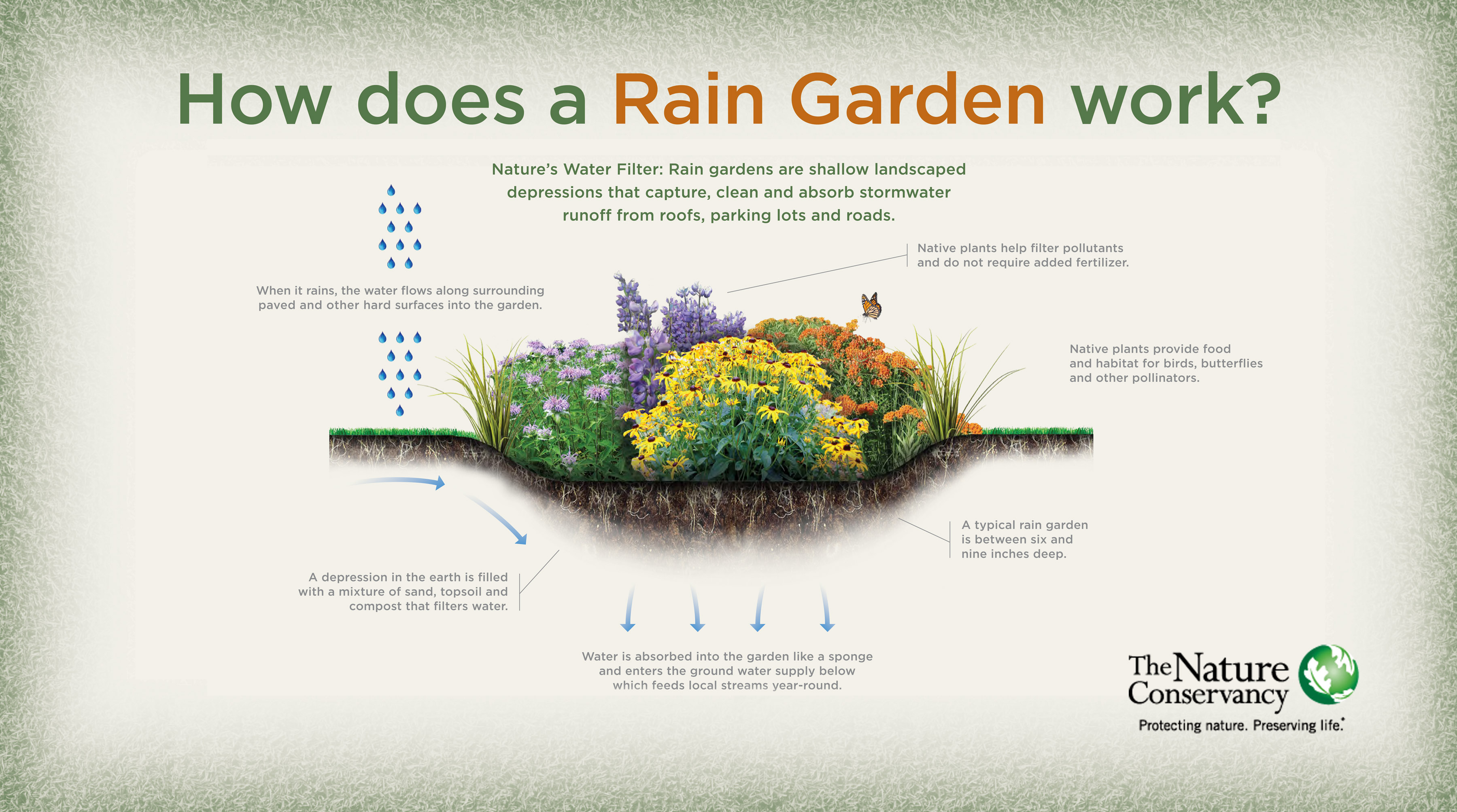 Rain Garden Infographic.