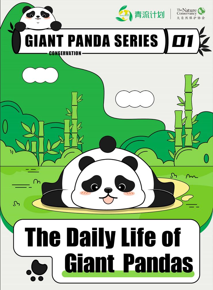Illustrated graphic showing the life of giant pandas. 