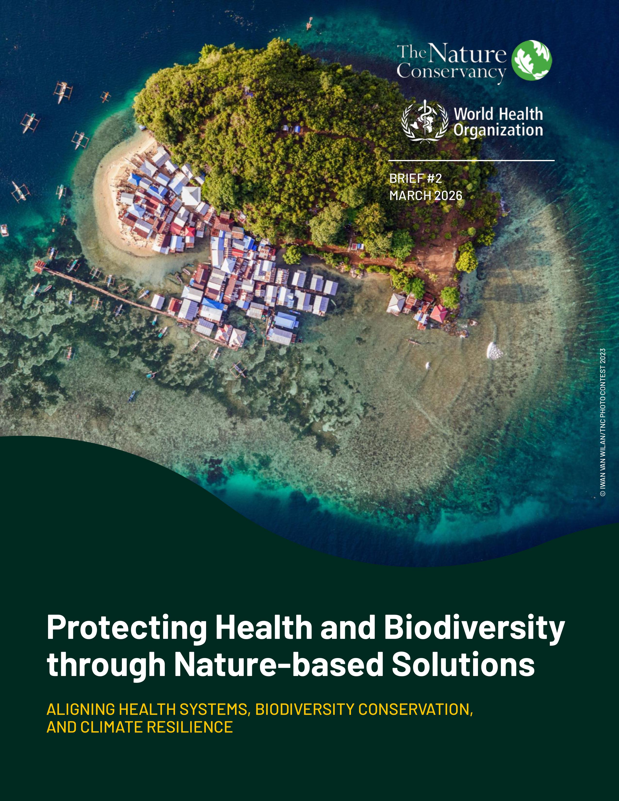 Cover image for Nature-based Solutions brief..