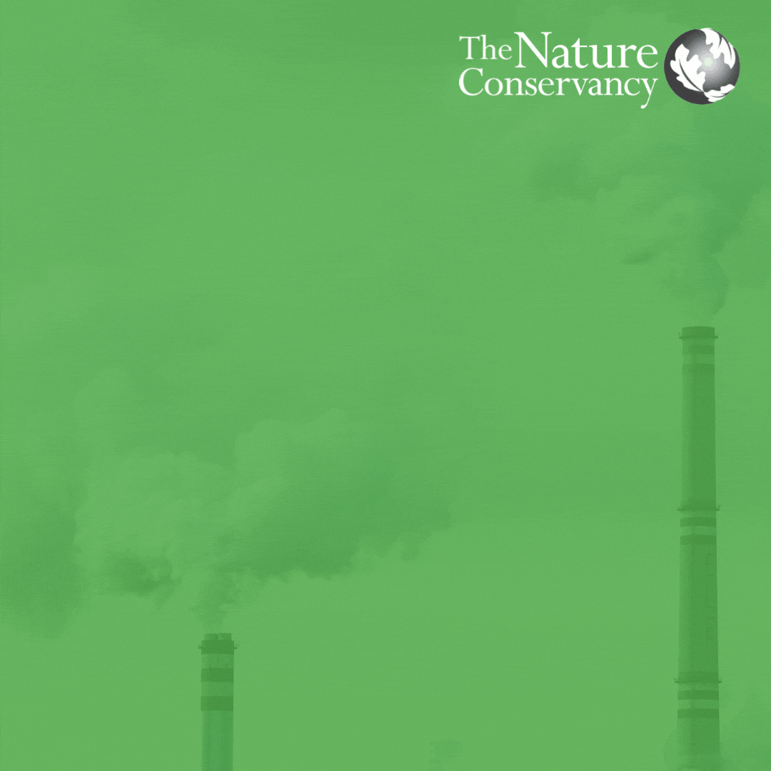 Animated icon with bright green background, TNC logo in top right, an illustration of a cloud with the words 'CO2' in it, and the words '3,146,868 lbs of CO2 Avoided' written on it.