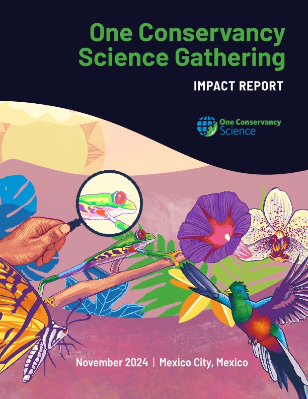 Colorful image with a bird, butterfly and frog illustrated alongside flowers.