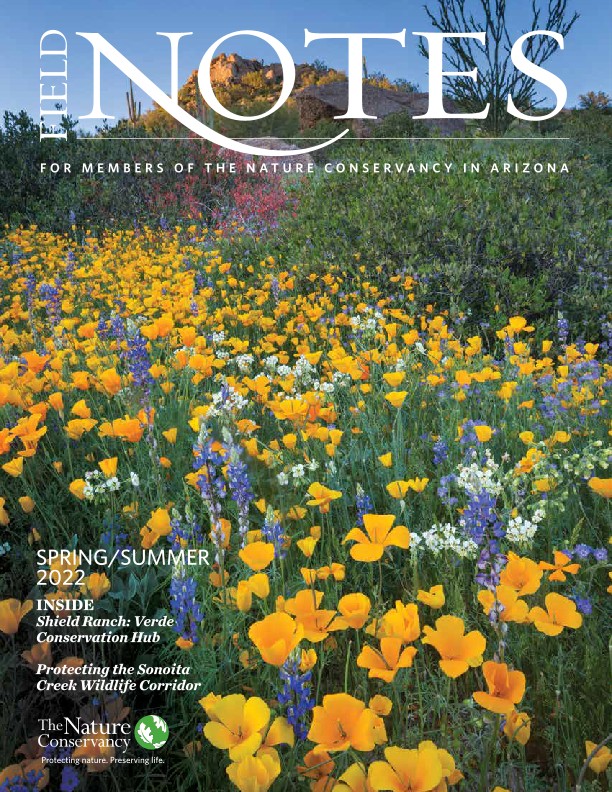 Cover of the Fall 2021 Field Notes Magazine