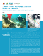 A POST-STORM RESPONSE AND REEF INSURANCE PRIMER
Building the response capacity to repair reefs damaged by hurricanes