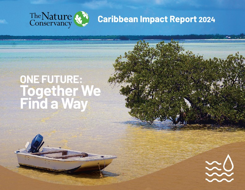 The cover of TNC in the Caribbean's 2024 Impact Report.