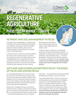 Thumbnail of a factsheet titled Regenerative Agriculture Food-Clean Water-Climate. The header shows a field of tall green leafy plants. Six round silver silos squat on the horizon.