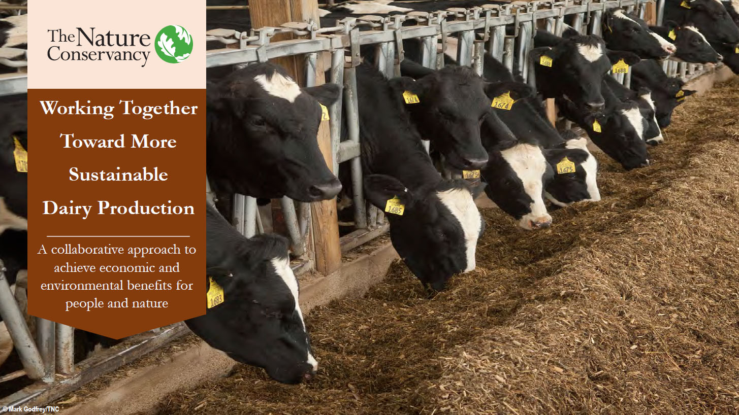 Cover of Roadmap to Dairy Sustainability Report.