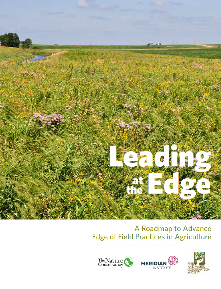 Cover of Edge of Field Report.