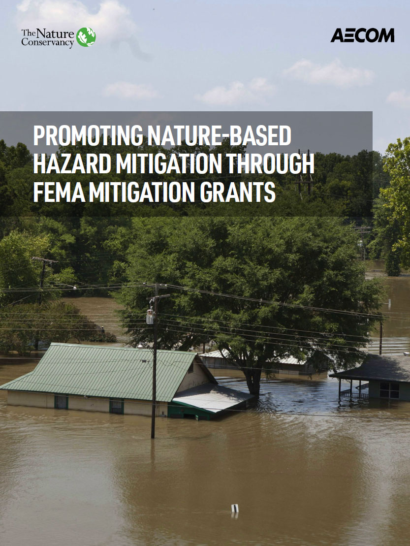 Cover of the FEMA Hazard Mitigation Guidebook 