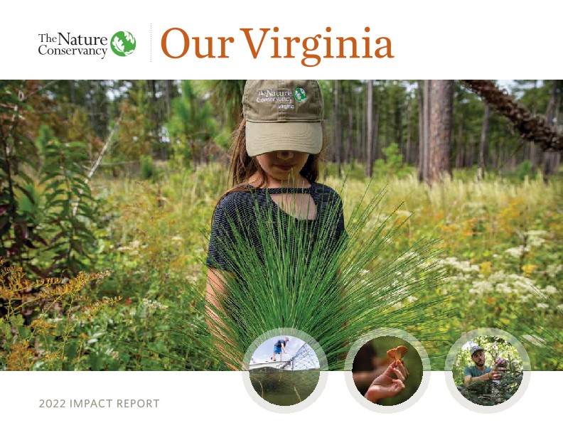 Cover of Virginia's 2022 Impact Report. 