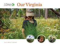 Cover of the 2022 Virginia Impact Report.