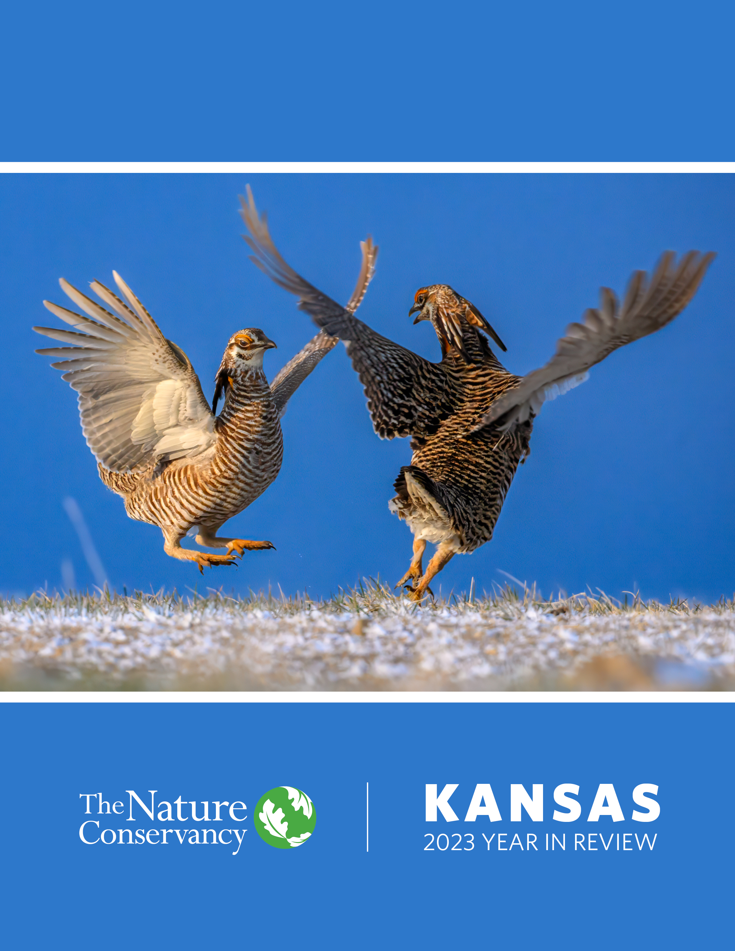 Blue book cover with image of two prairie chickens facing each other with wings in the air. Text reads: The Nature Conservancy Kansas 2023 Year In Review.