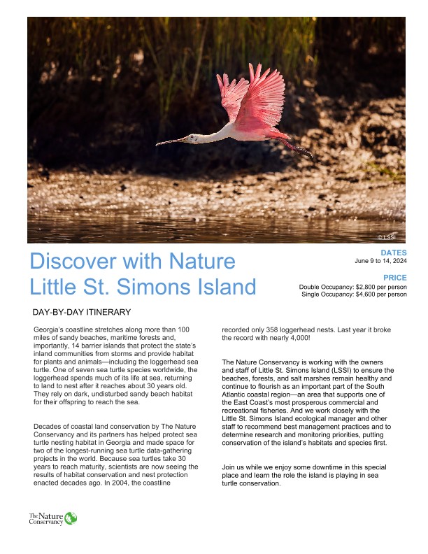 Cover of newsletter with a pink bird flying.