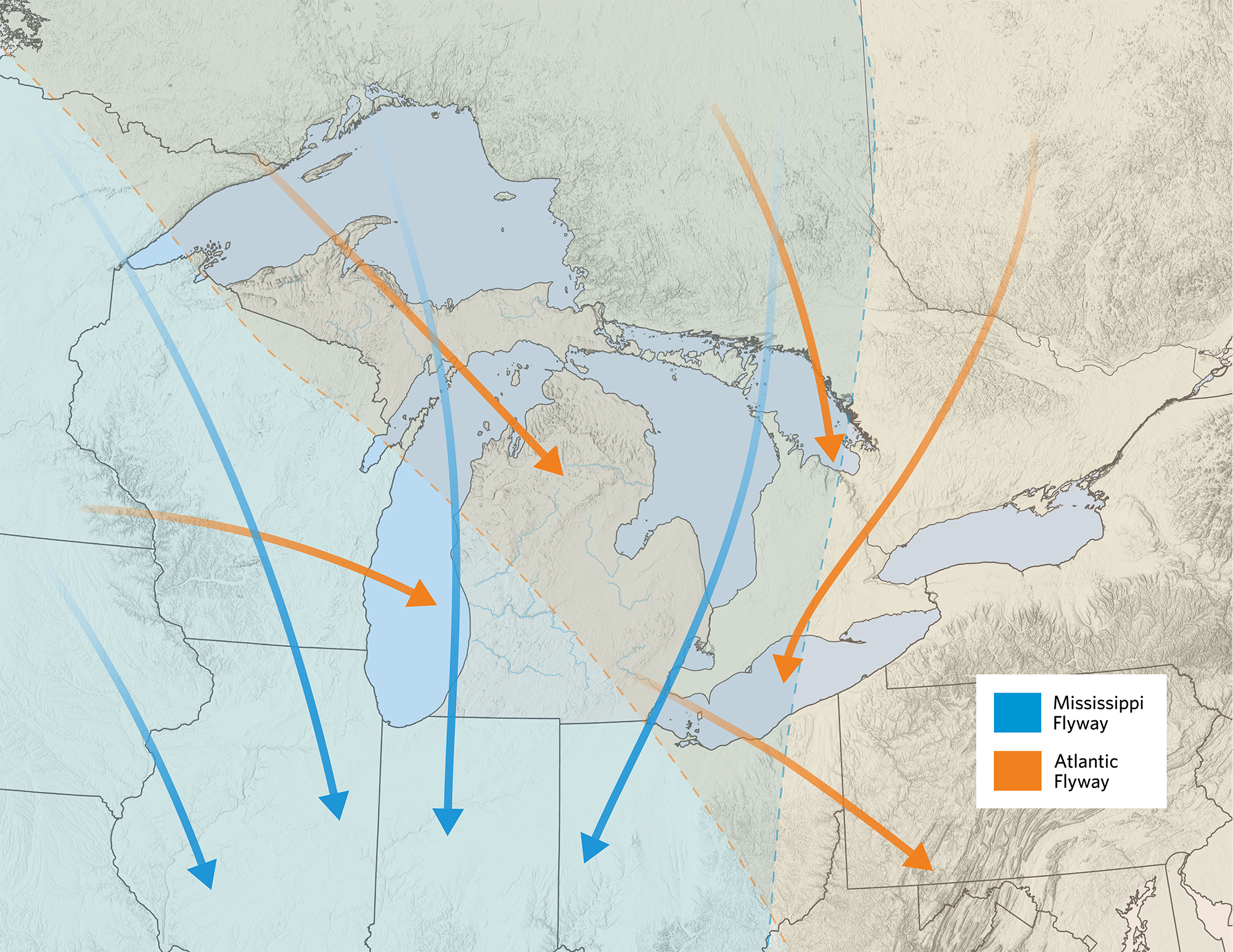 Michigan Migratory Flyway