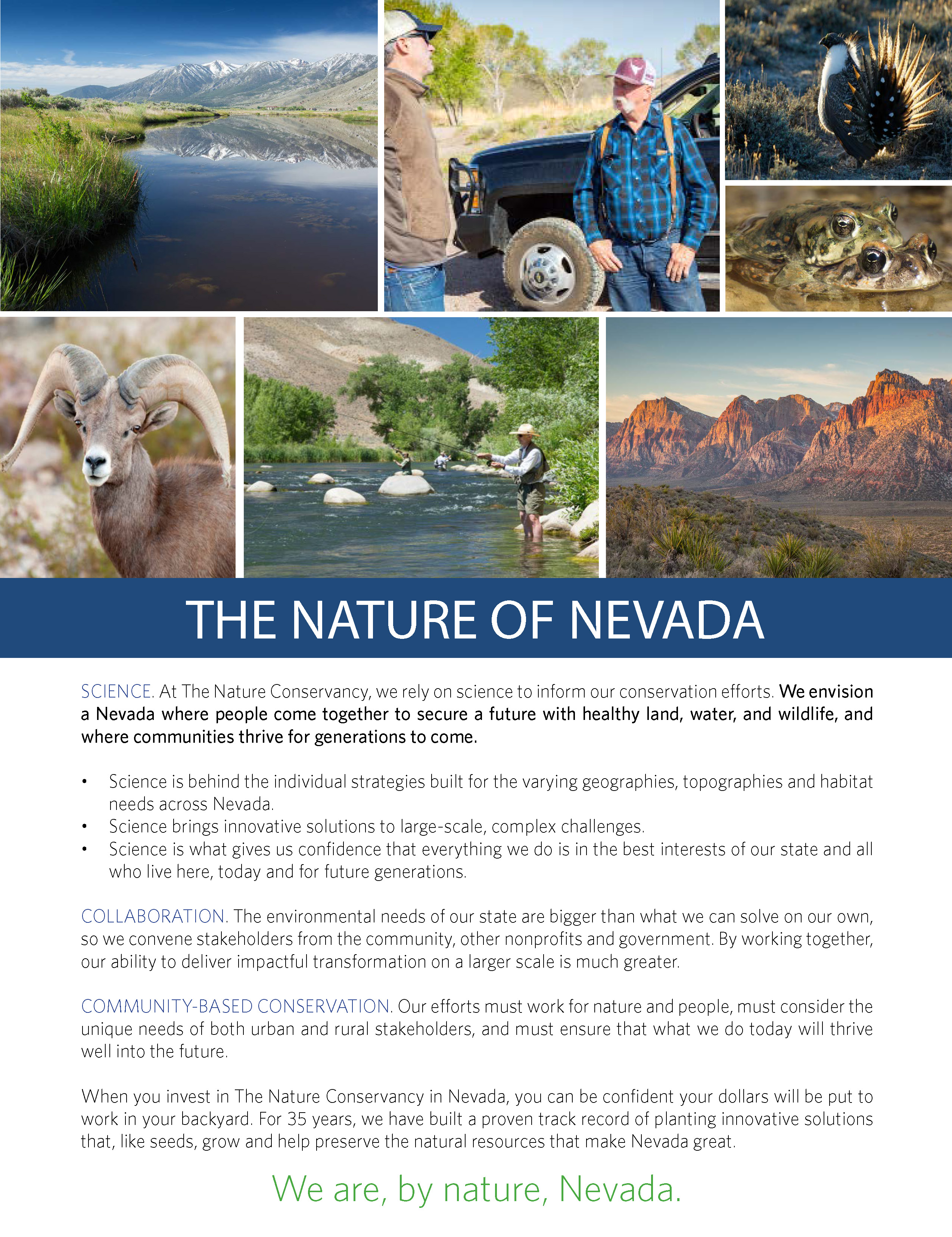 Cover for Nature of Nevada case statement 