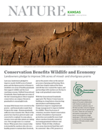 Issue 1 (Spring) 2024