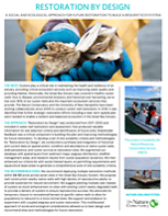 Get to know how and why we restore oysters where we do with this easily digestible overview.