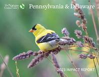 2023 Pennsylvania & Delaware Impact Report 