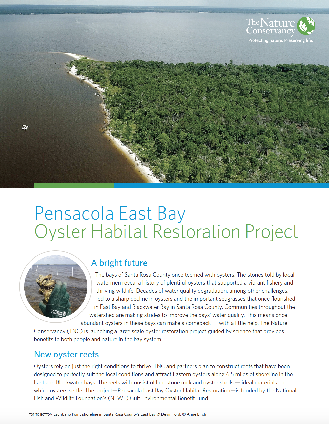 Pensacola East Bay Oyster Restoration Fact Sheet