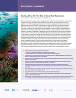 Front page of the 30x30 Coral Reef report.