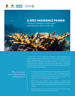 Hurricane damages to reefs, repair and restoration options and costs.