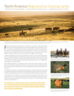 Regenerative Grazing Lands fact sheet cover.