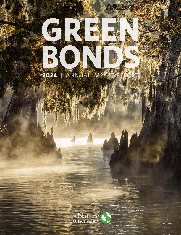 Cover of the 2024 Green Bonds annual report.