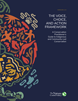 Voice, Choice, & Action Framework