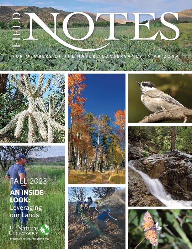 Cover of the Fall 2023 Field Notes Magazine.