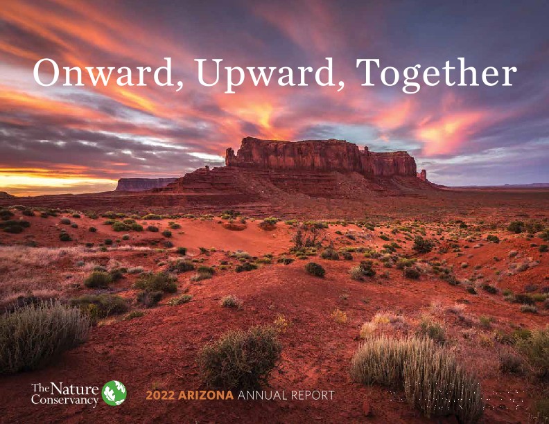 2022 Arizona Annual Report cover.
