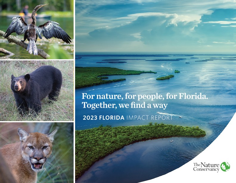 Florida Impact Report.