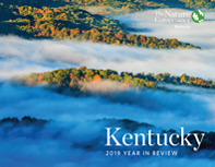 Aerial view of the Appalachian Mountains of Tennessee shrouded in fog.