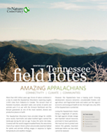 A newsletter cover features the many layered colors of a mountain range.