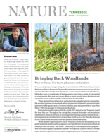 A newsletter covers features before and after photos of a prescribed burn.