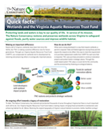 Infographic showing the funding mechanism for the Virginia Aquatic Resources Trust Fund, from payment by land developers for mitigation credits to that funding being put into on-the-ground projects.