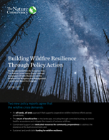 Cover of Building Wildfire Resilience through Policy. 