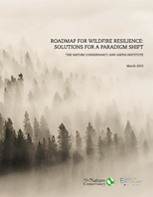 Cover of Wildfire Resilience Roadmap. 