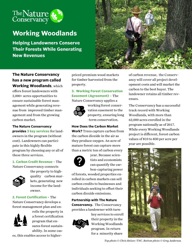 A brochure shares information about The Nature Conservancy's Working Woodlands program.