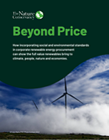 Beyond Price: Nature and Communities in Corporate Renewables
