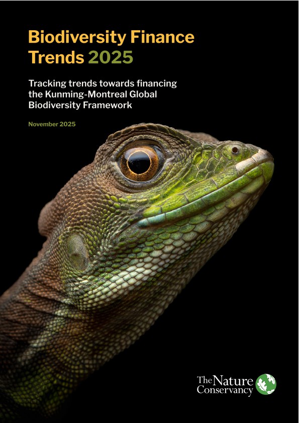Biodiversity Finance Dashboard Report 2025.