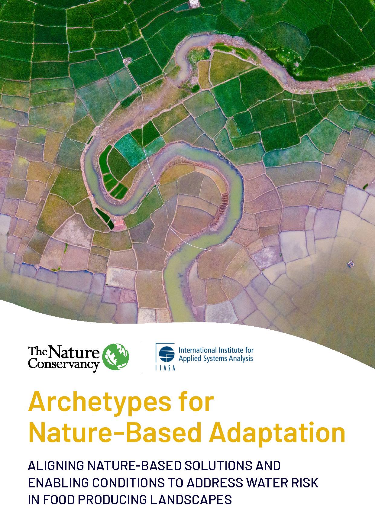 Cover of Archetypes for Nature-Based Adaptation report.