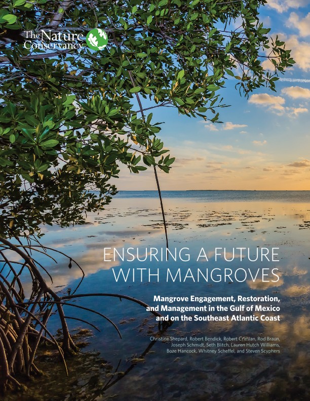 Cover of Ensuring a Future with Mangroves handbook.