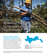 Restoring the Gulf of Mexico's environment and economy