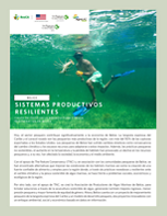 Casos de éxito en la acuacultura y pesca regenerativa en Belice