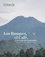 Los Bosques, el Café, y la Gente de Guatemala