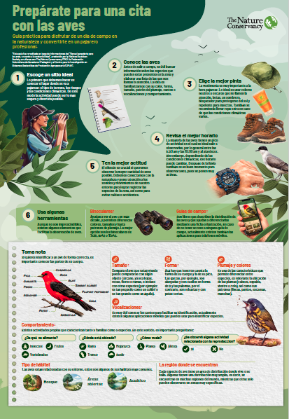 Infografía prepárate para tu cita con las aves
