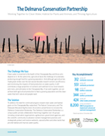 Thumbnail of a factsheet titled The Delmarva Conservation Partnership. Working together for clean water, habitat for plants and animals and thriving agriculture. 