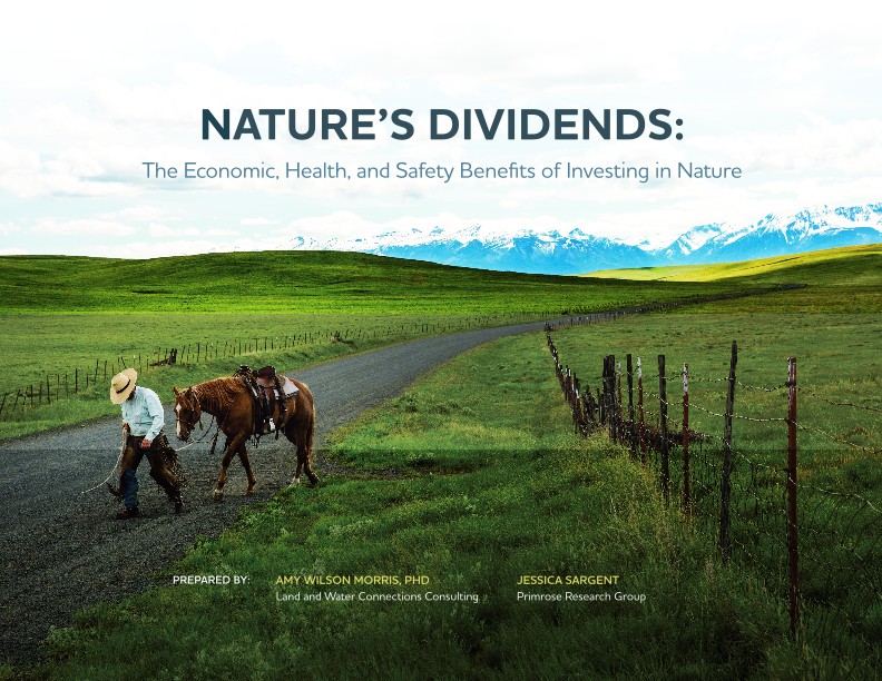 Cover of Nature's Dividends report.